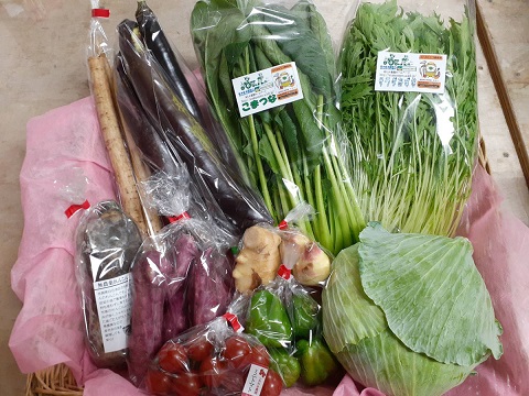 本日のお野菜をお知らせ致します（9月8日発送分） - 九州の野菜、お米 