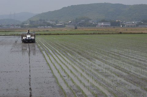 安高 吉明