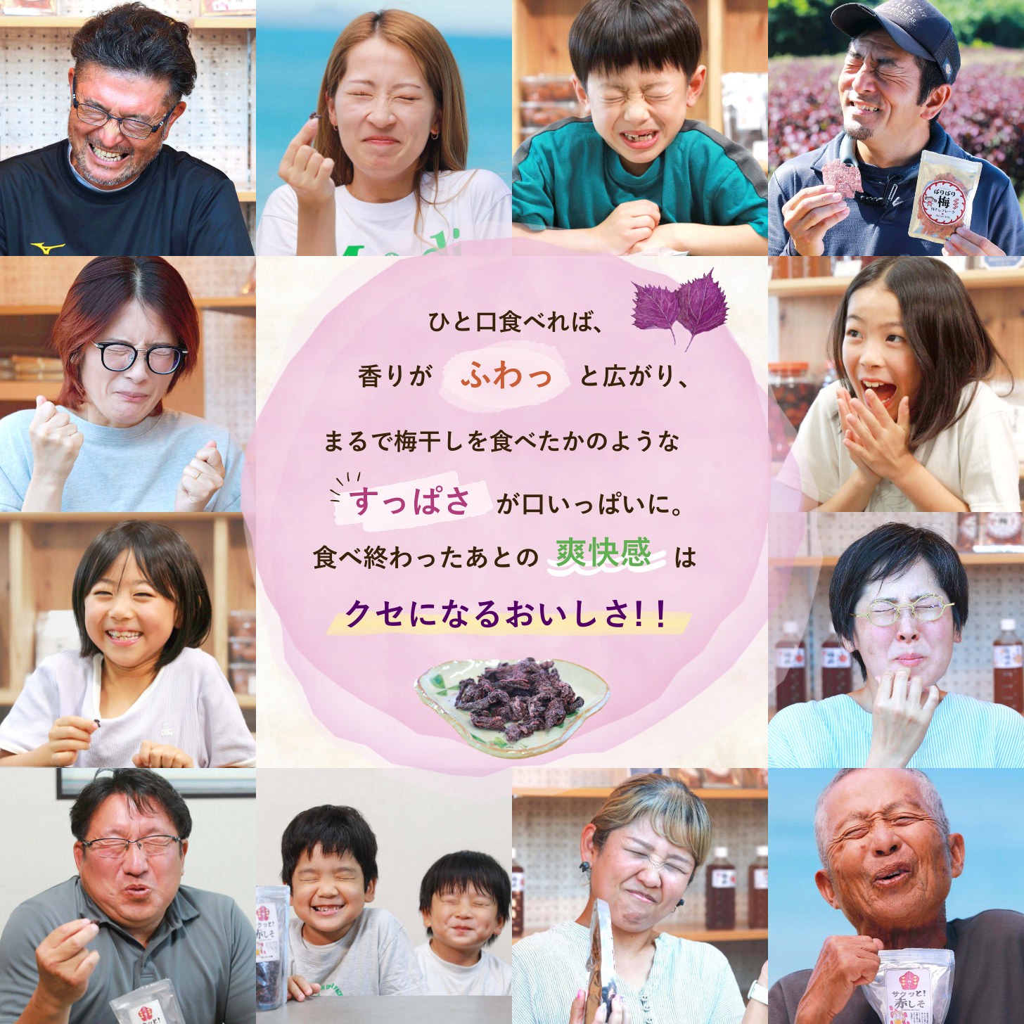 ひと口食べれば、香りがふわっと広がり、まるで梅干しを食べたかのようなすっぱさが口いっぱいに。食べ終わったあとの爽快感はクセになるおおいしさ！！