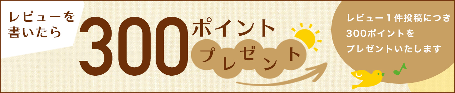 レビューを書いたら300ポイントプレゼント！