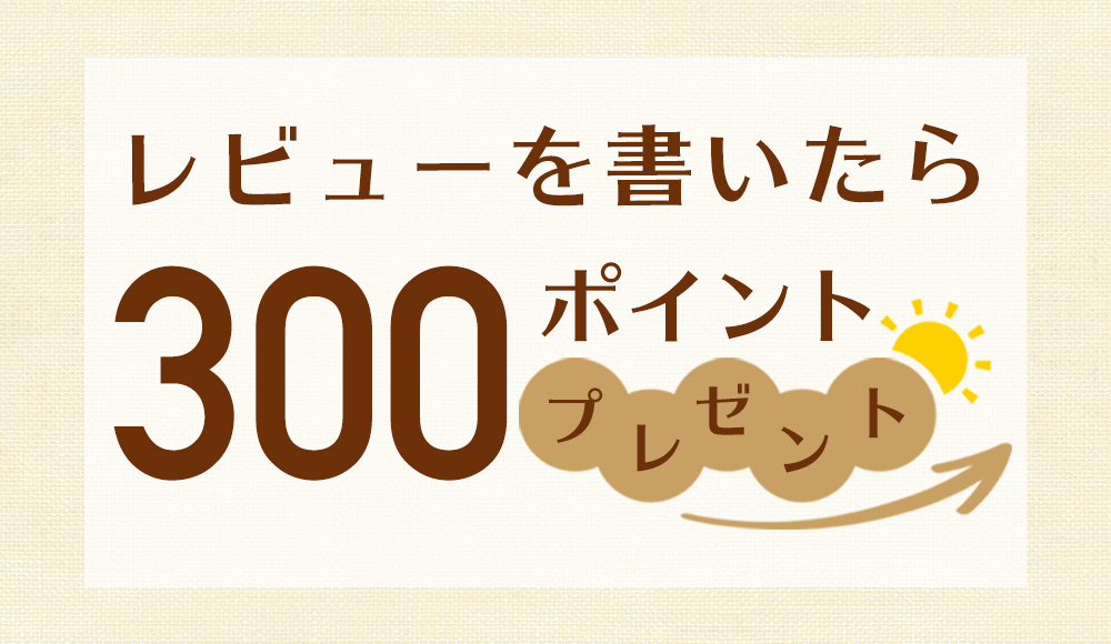 白ネギ　1束（2-3本入）　九州産　朝ごはん本舗