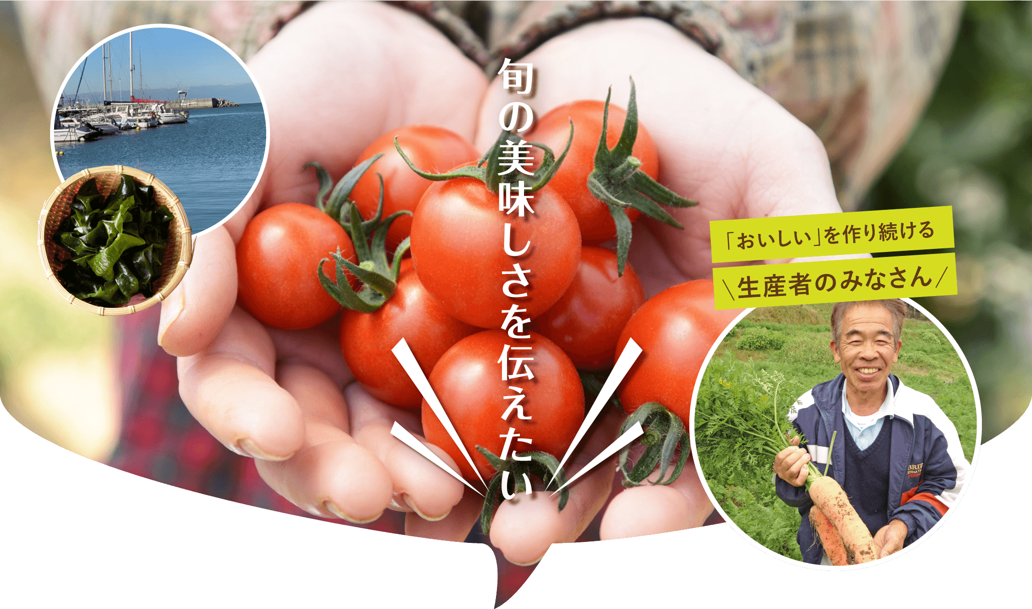 旬の美味しさを伝えたい