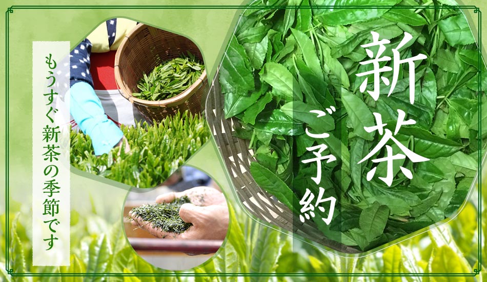 新茶のご予約特集