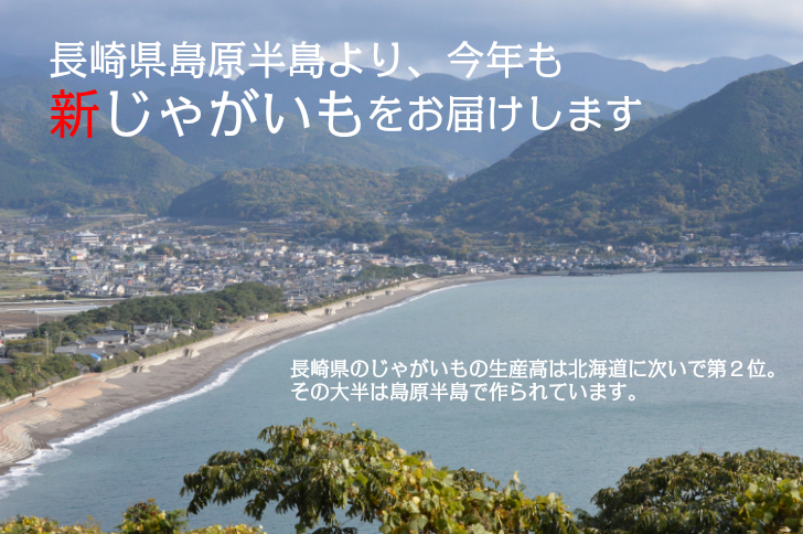 じゃがいも,ジャガイモ,出島