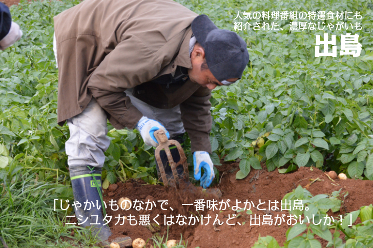じゃがいも,ジャガイモ,出島
