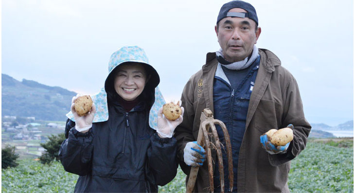 じゃがいも,ジャガイモ,出島