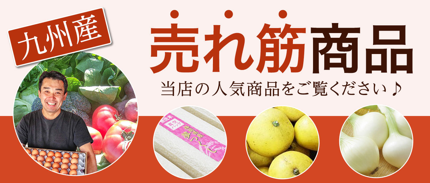 人気の商品