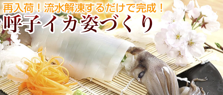イカ再入荷