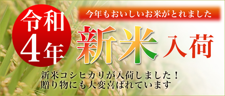 令和4年産棚田育ちのヒヨクモチ20kg-