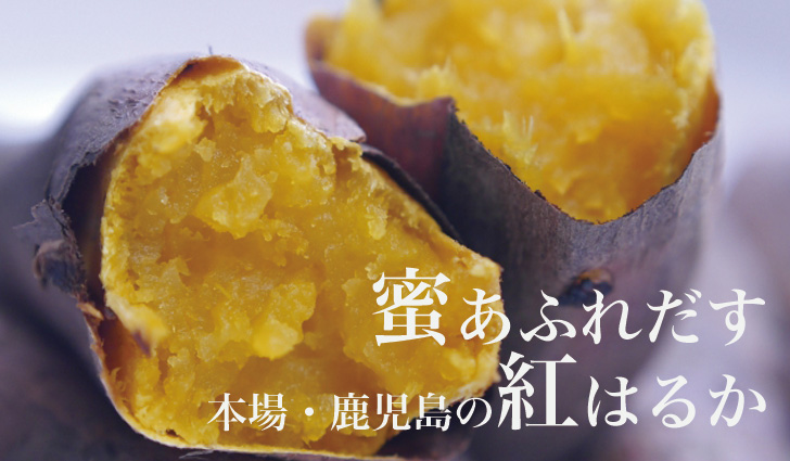 紅はるか