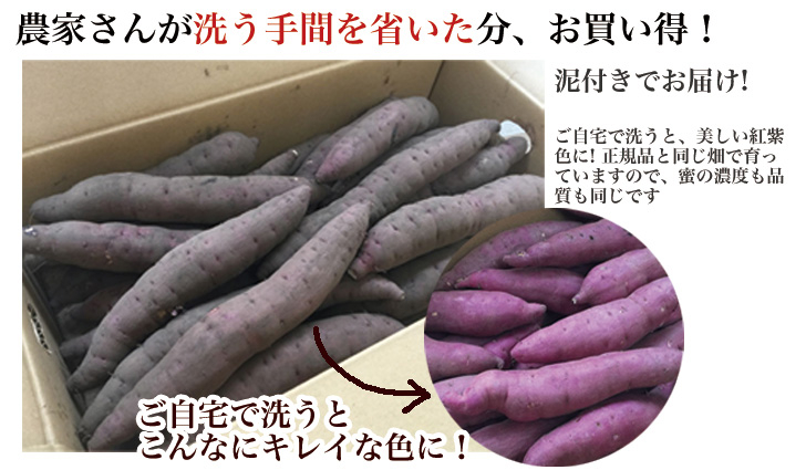 紅はるか