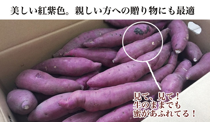 紅はるか