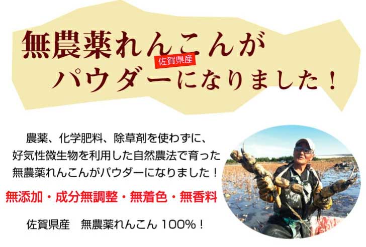 れんこんパウダー 無農薬 100g（50g×2） | 朝ごはん本舗