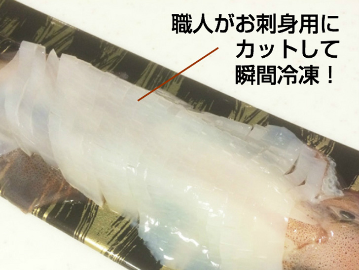 呼子イカ 姿づくり スルメイカ 2杯入 冷凍 | 朝ごはん本舗
