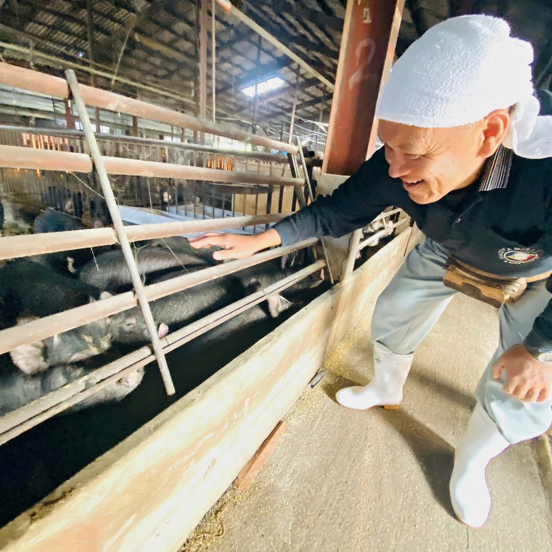鹿児島黒豚 切り落とし 500g 冷凍便
