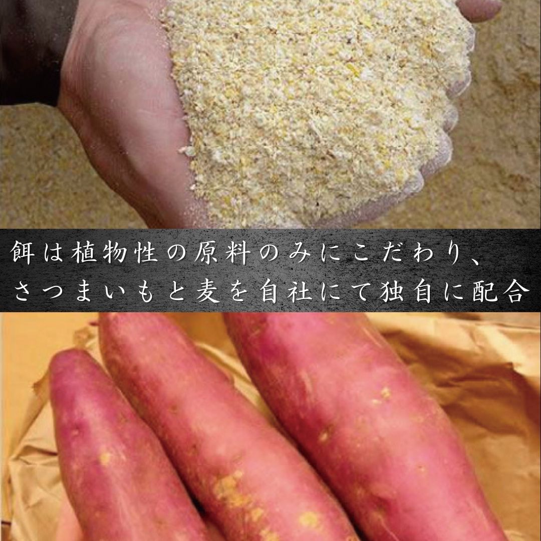 鹿児島黒豚　しゃぶしゃぶ詰め合わせ 冷凍便