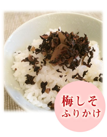 梅しそ生ふりかけ 2種類入 朝ごはん本舗 梅しそ生ふりかけ 2種類入 朝ごはん本舗