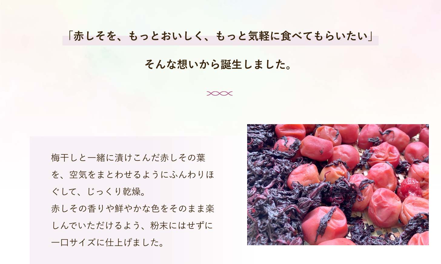 サクッと！赤しそ
