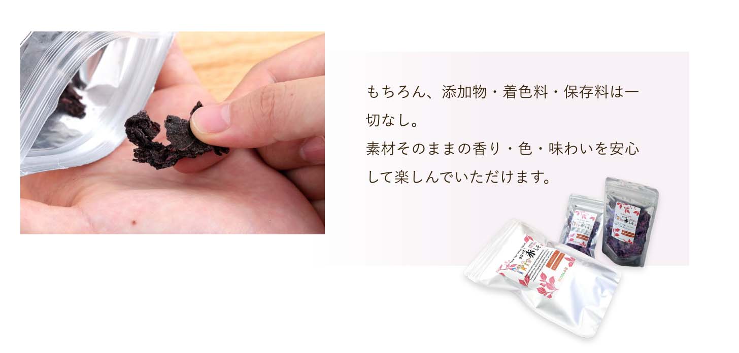 サクッと！赤しそ