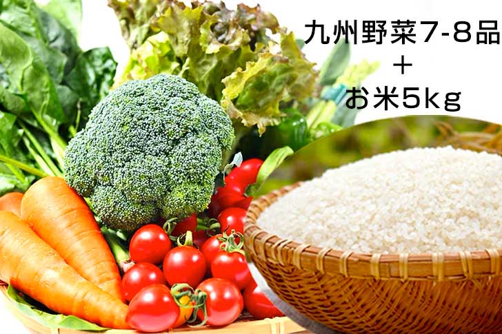 定期購入】九州野菜とお米セット　朝ごはん本舗