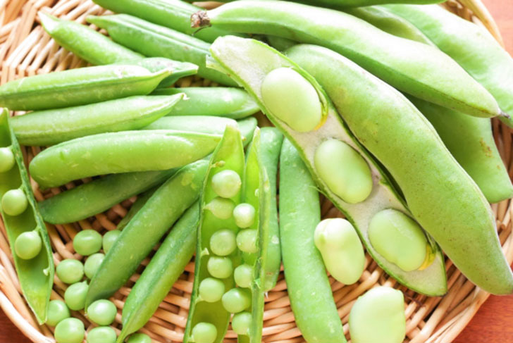 春野菜
