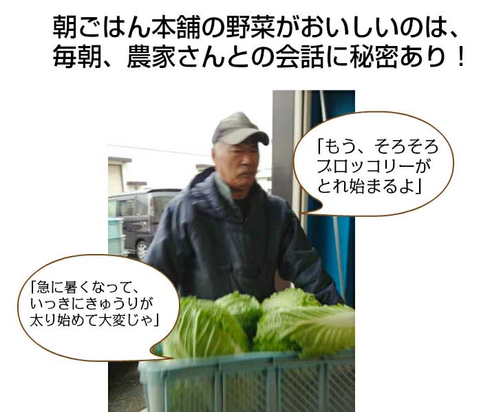 九州野菜と卵10個と旬の果物付き　朝ごはん本舗